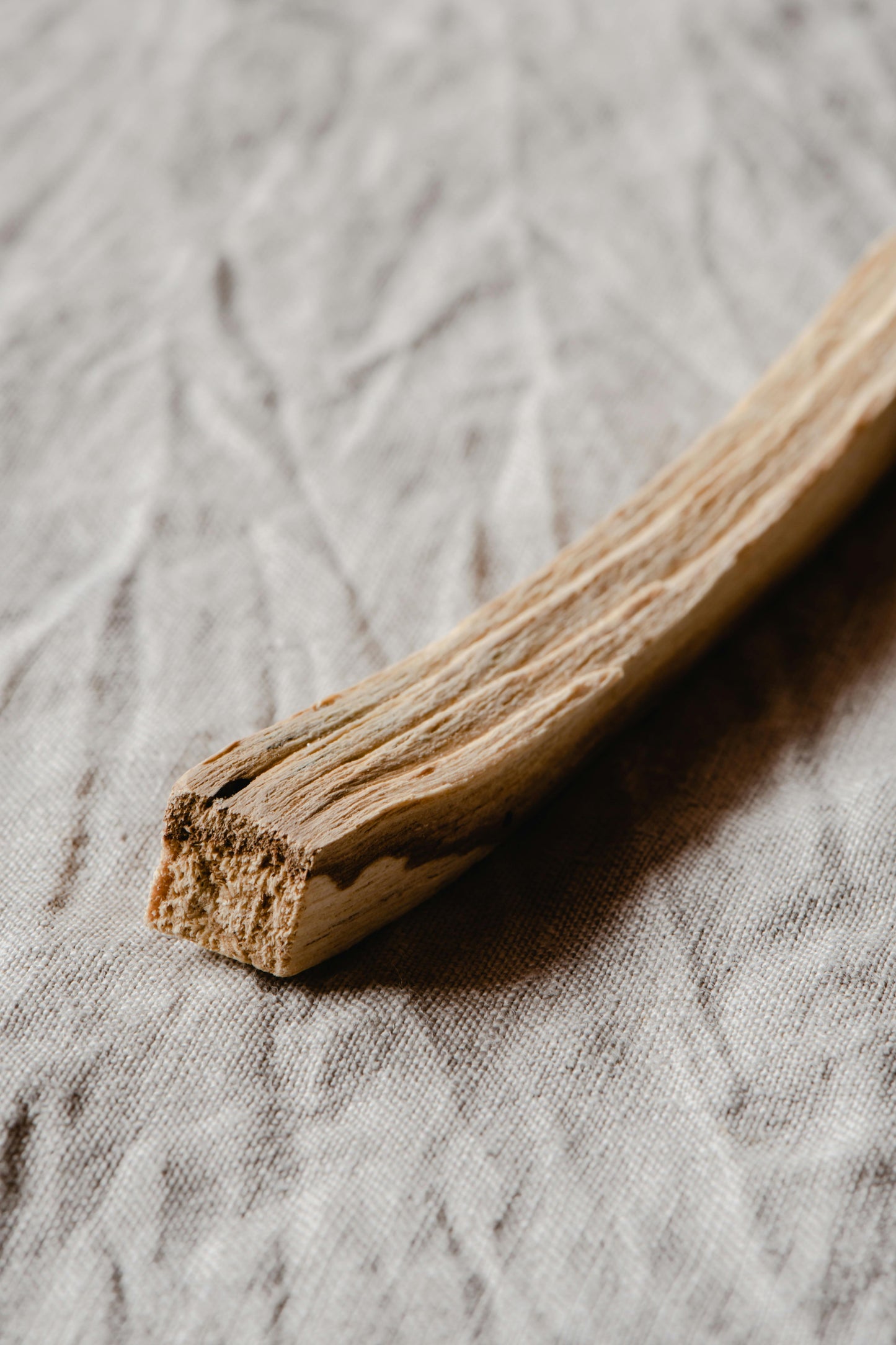 Palo Santo Stick