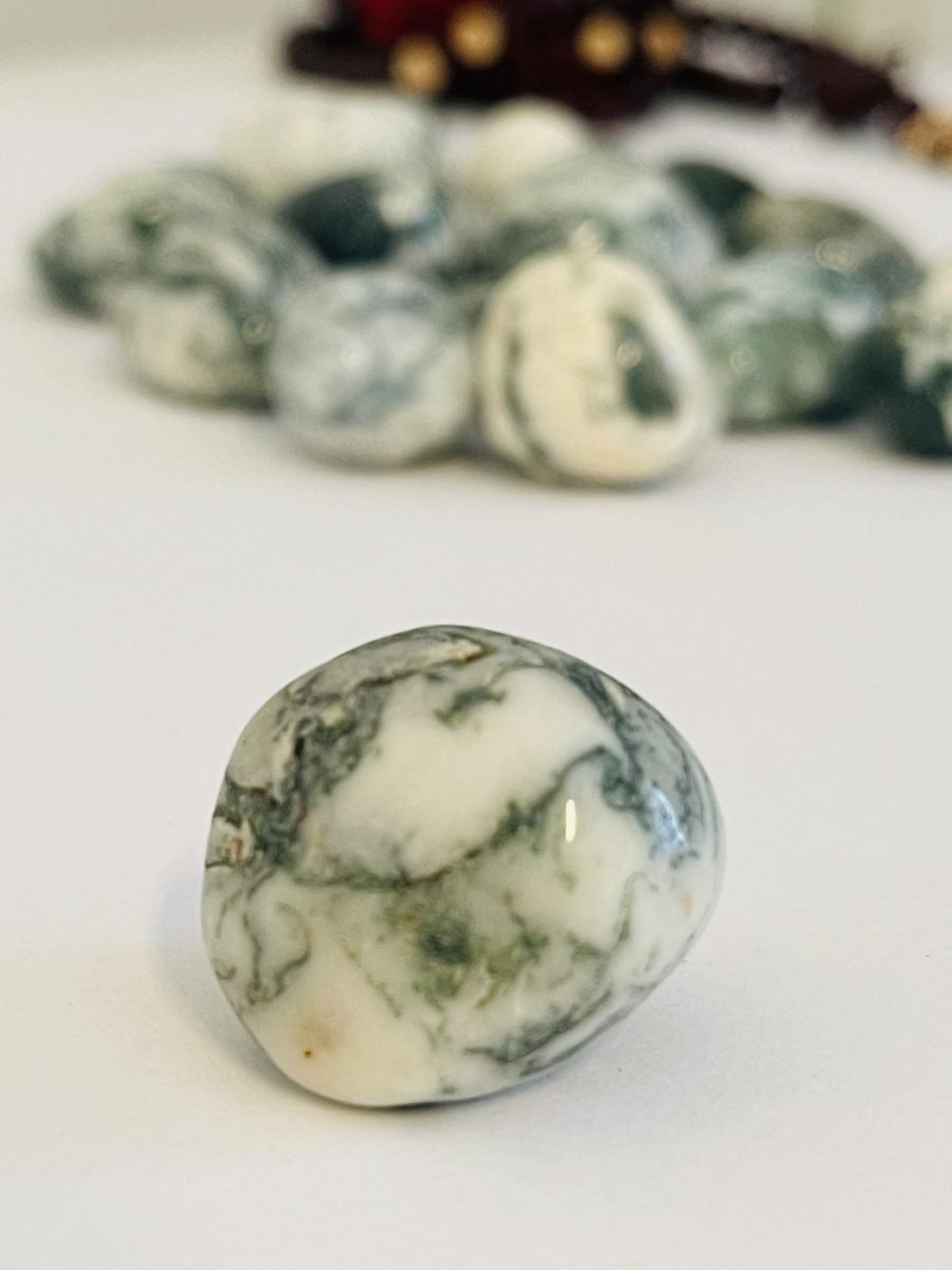 Tree Agate Crystal